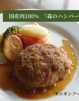森のハンバーグ(オニオンソース)