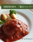 森のハンバーグ(デミグラスソース)