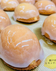 瀬戸内レモンケーキ 5個入