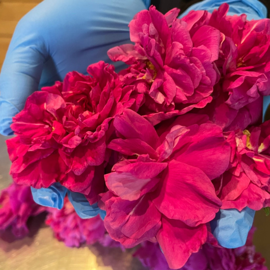 薔薇のコンフィチュール