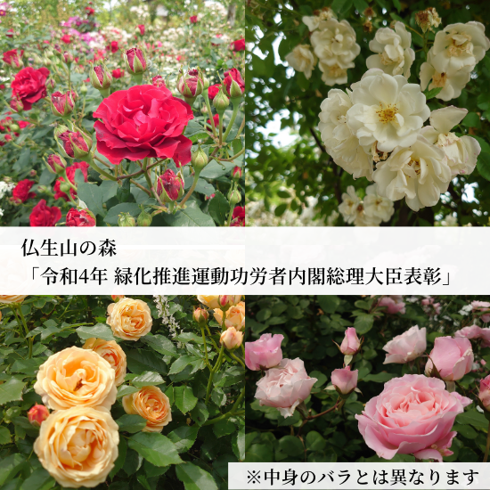 薔薇と苺のコンフィチュール