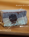【数量限定】クリスマス｜濃厚生チョコとキャラメルのアイスケーキ