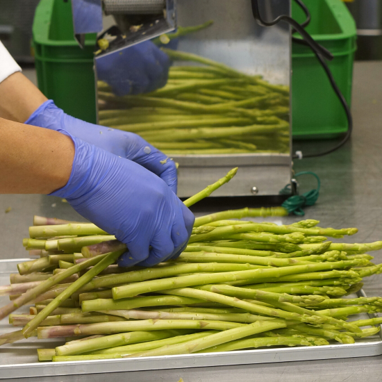 香川県産アスパラ餃子