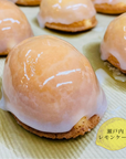 瀬戸内レモンケーキ　10個入