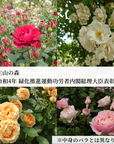 薔薇のコンフィチュール