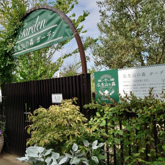 仏生山の森はちみつセット